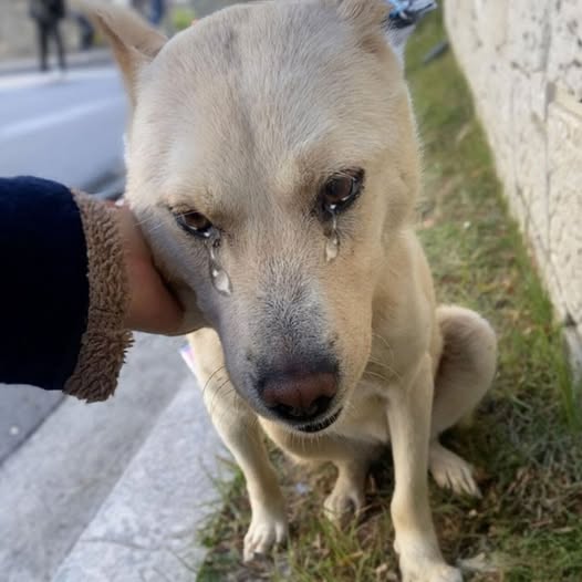 Left Behind and Ignored, But He Never Stopped Hoping